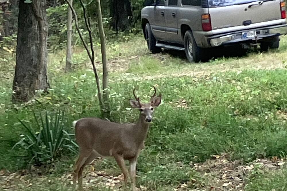 Photo of Outdoor in Northwest Township