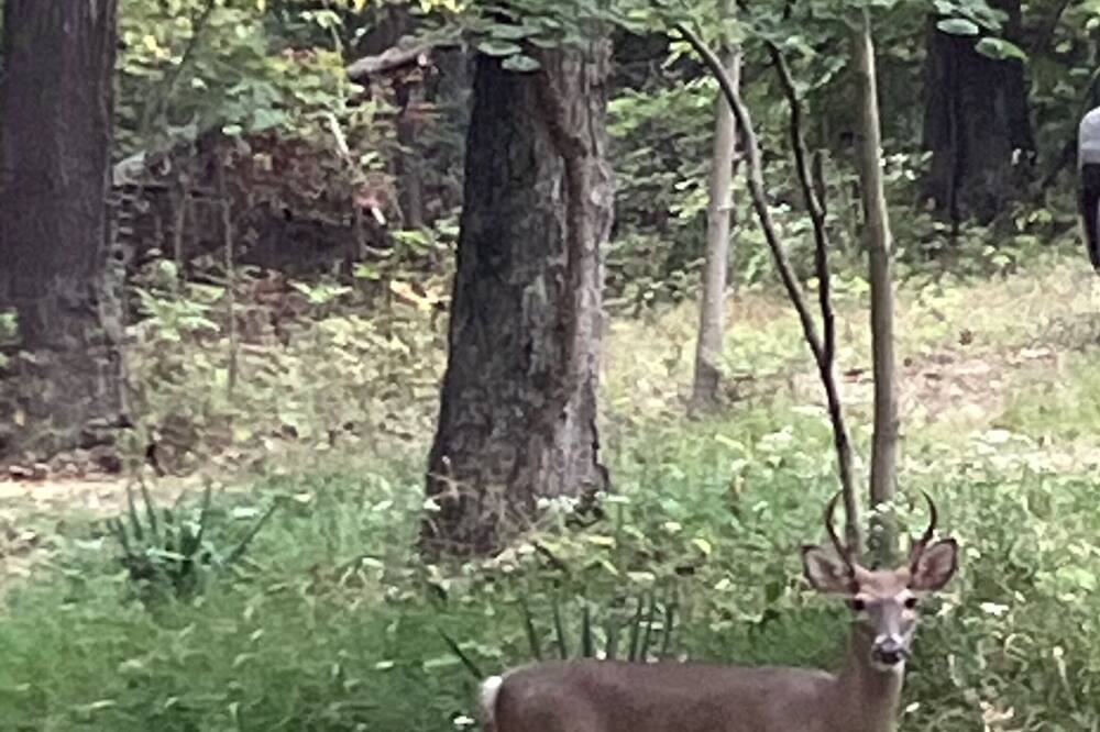 Photo of Others in Northwest Township