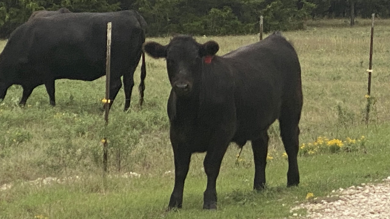 Photo of Outdoor in Gordonville