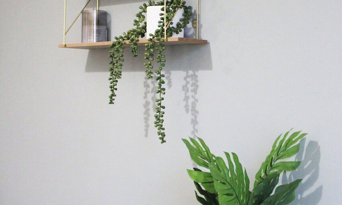 Photo of Outdoor in Darlington