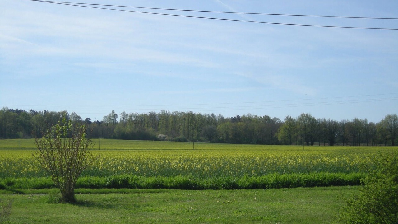 Photo of Others in Semblecay