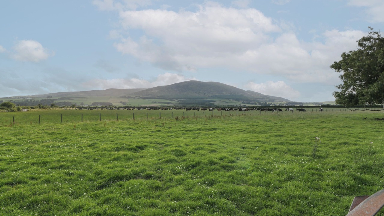 Photo of Outdoor in Kirkbean