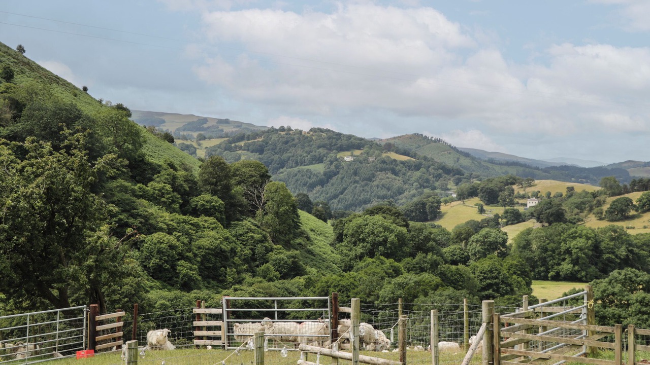 Photo of Others in Acrefair