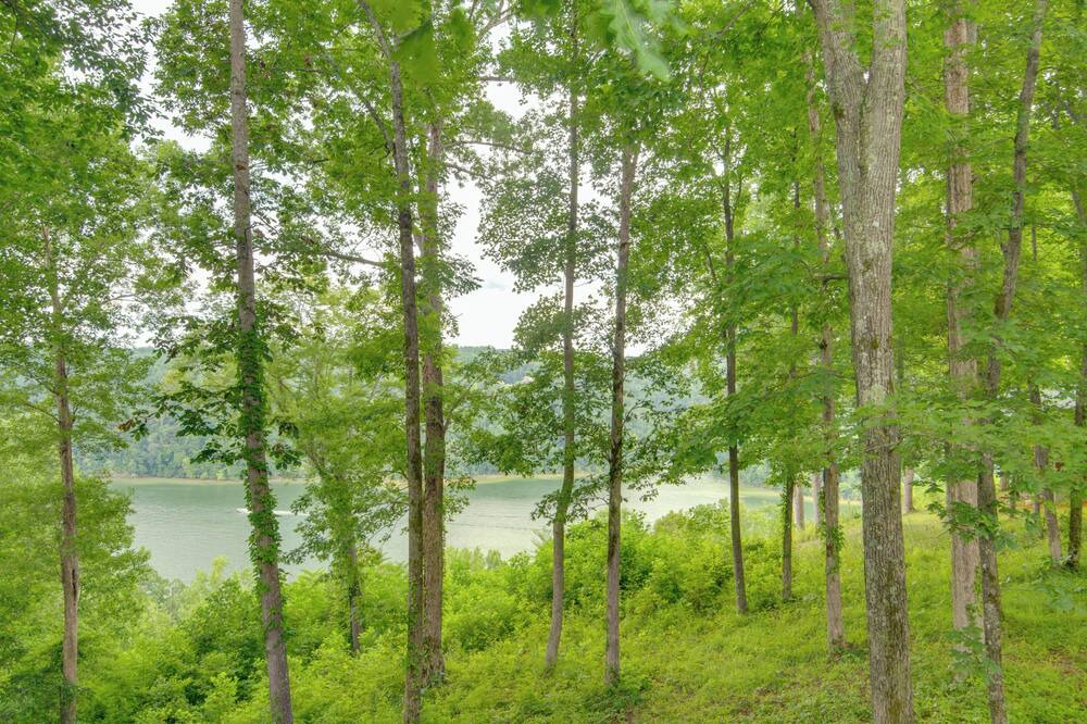 Photo of Outdoor in Sparta