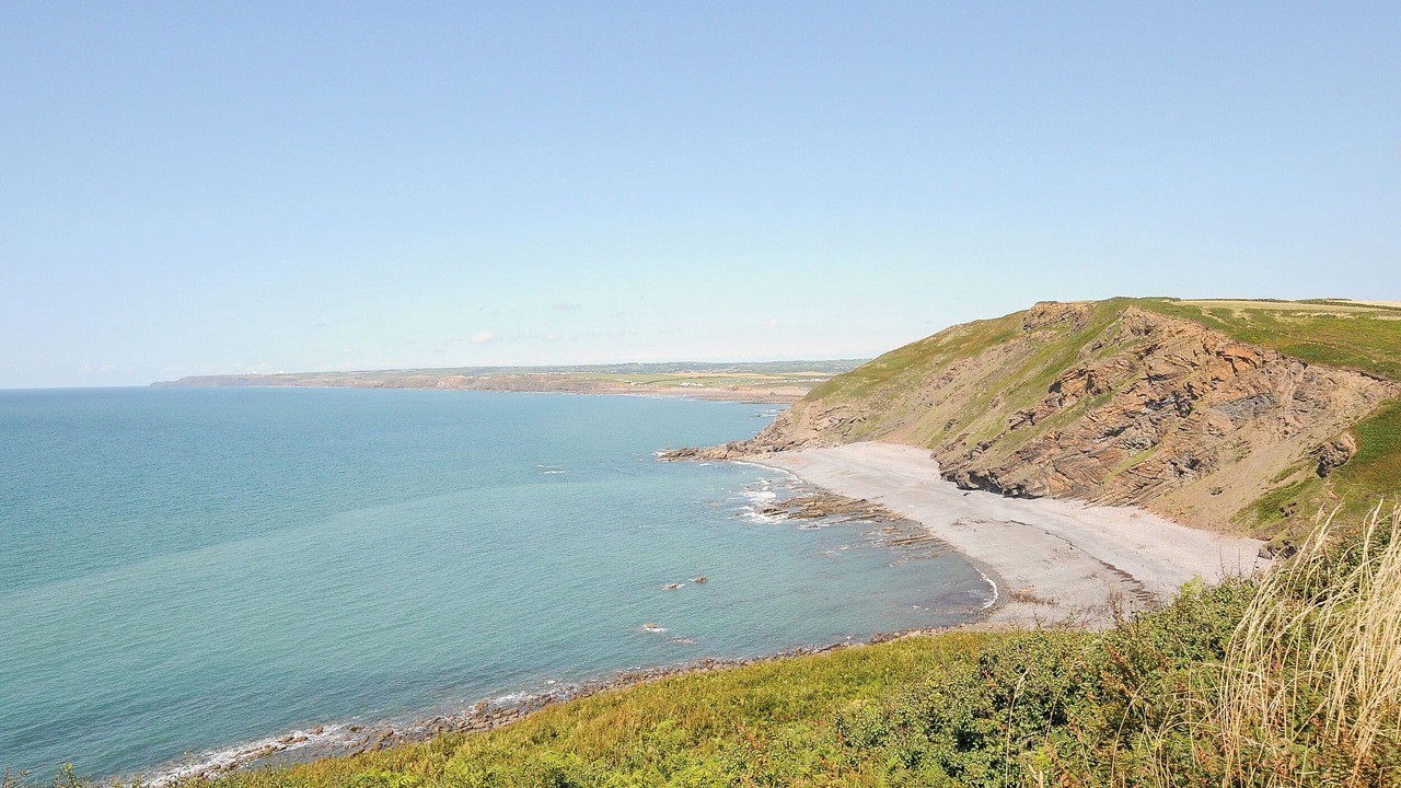 Photo of Others in Widemouth Bay