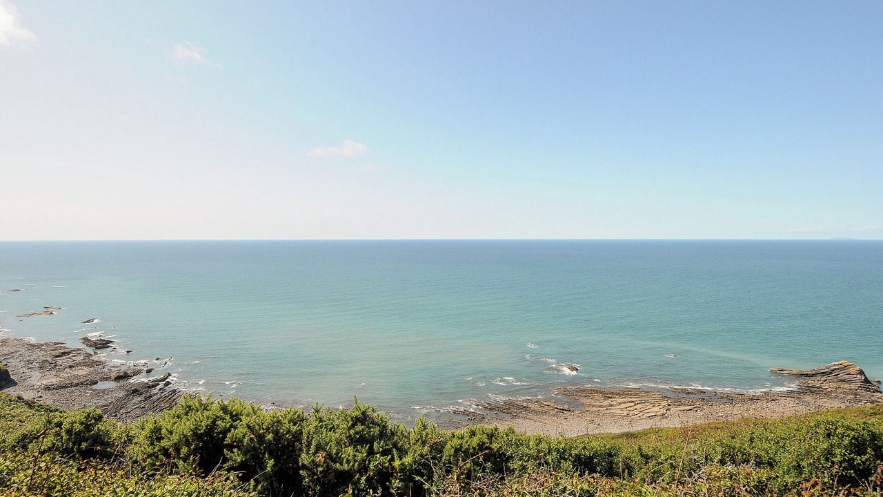 Photo of Others in Widemouth Bay