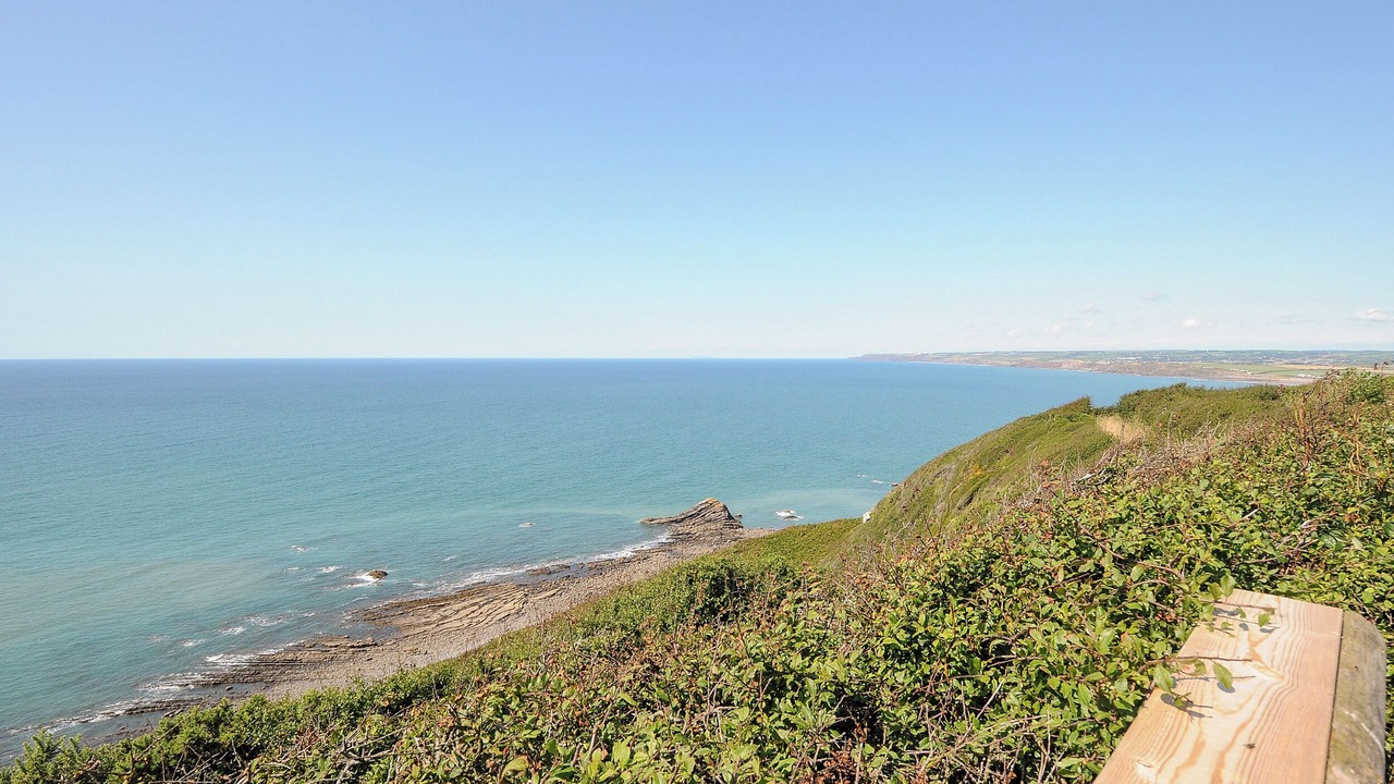 Photo of Others in Widemouth Bay