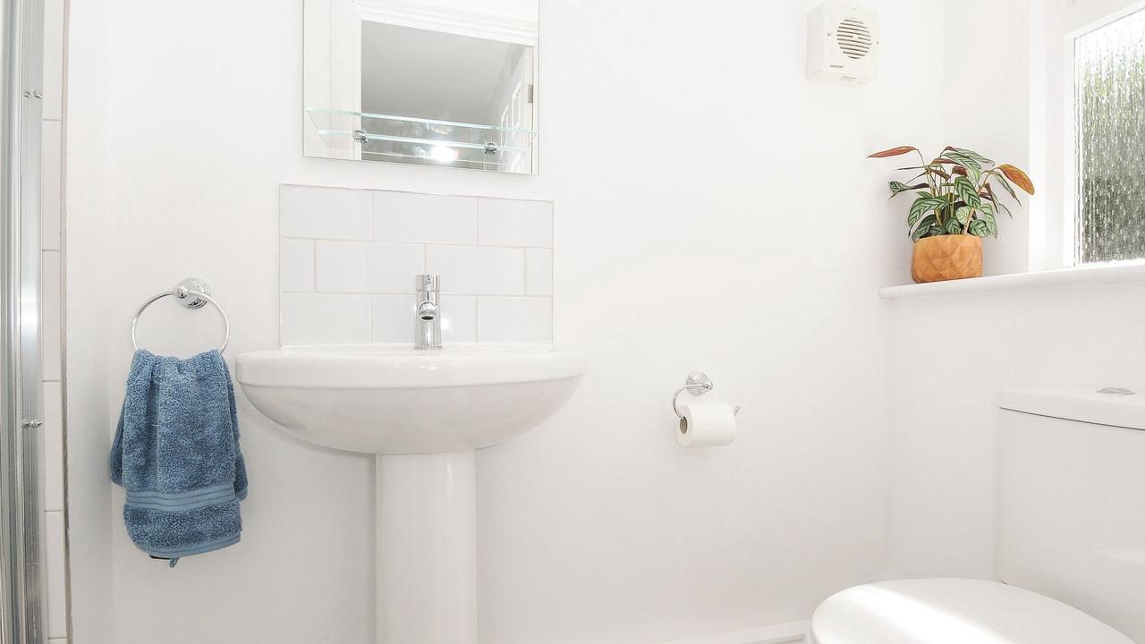 Photo of Others in Widemouth Bay