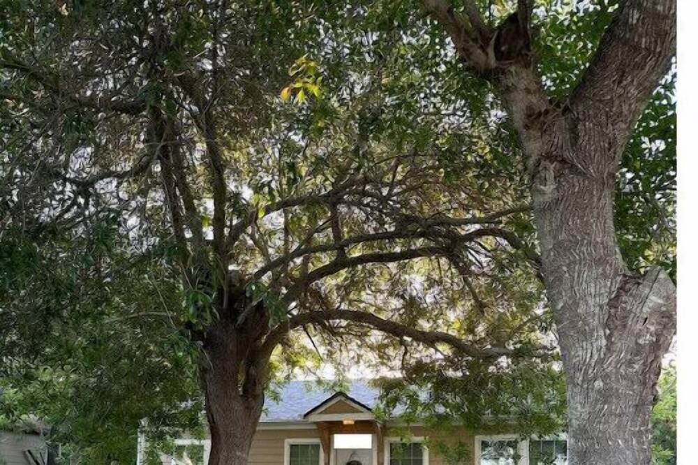 Photo of Outdoor in Ingleside