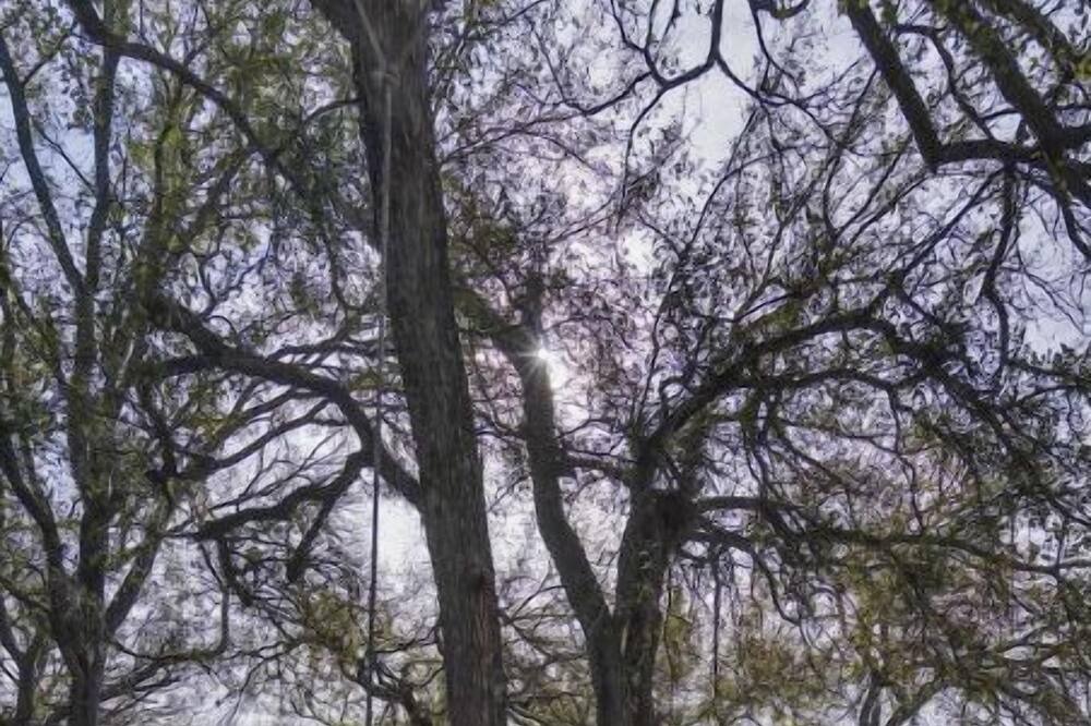 Photo of Outdoor in Smithwick