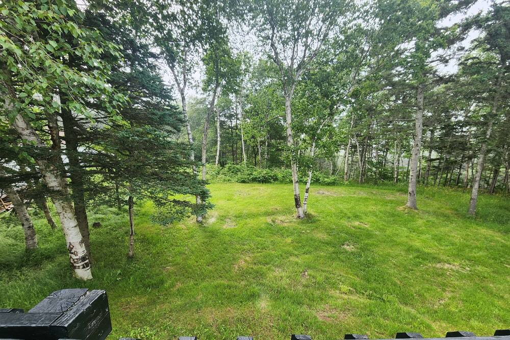 Photo of Outdoor in Margaretsville