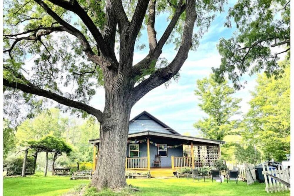 Photo of Outdoor in Trumansburg
