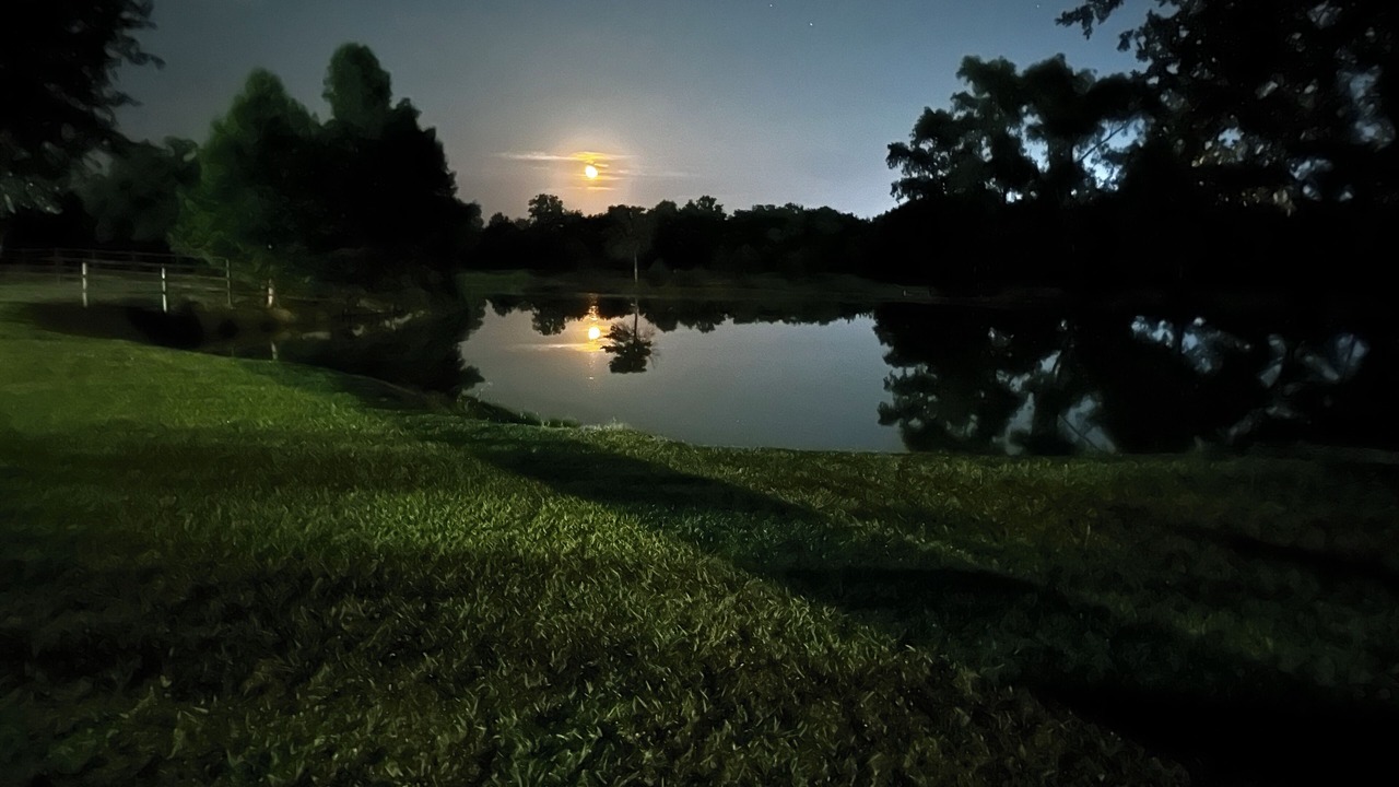 Photo of Outdoor in Waco