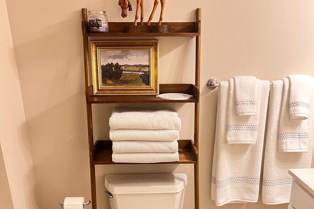 Photo of Bathroom in Petoskey