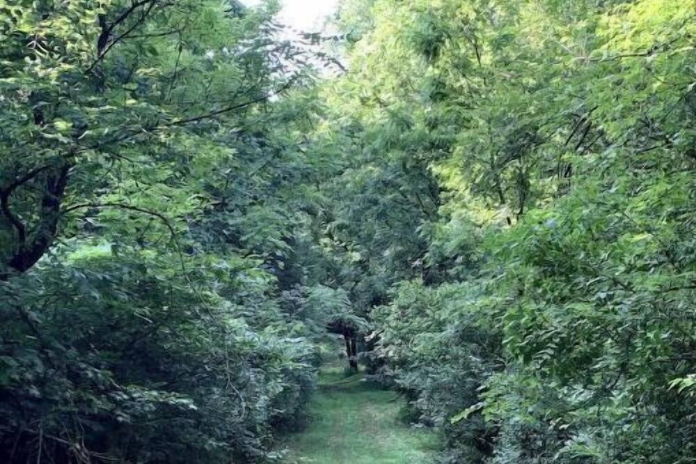 Photo of Outdoor in Nicholasville