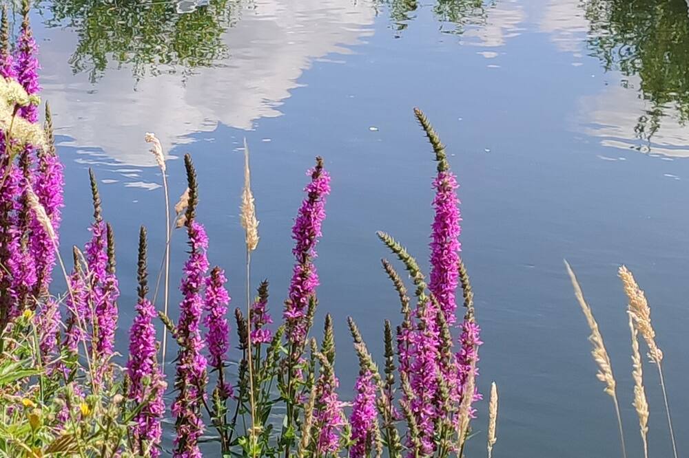 Photo of Others in Eaucourt-sur-Somme