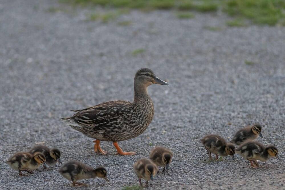 Photo of Outdoor in Eaucourt-sur-Somme