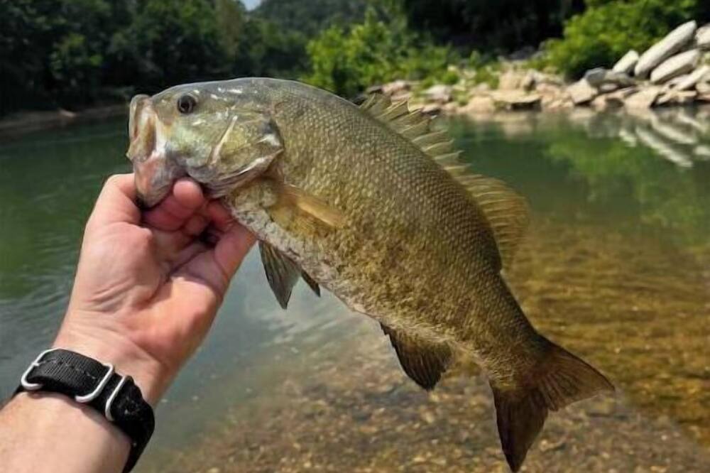 Photo of Outdoor in Flint Creek