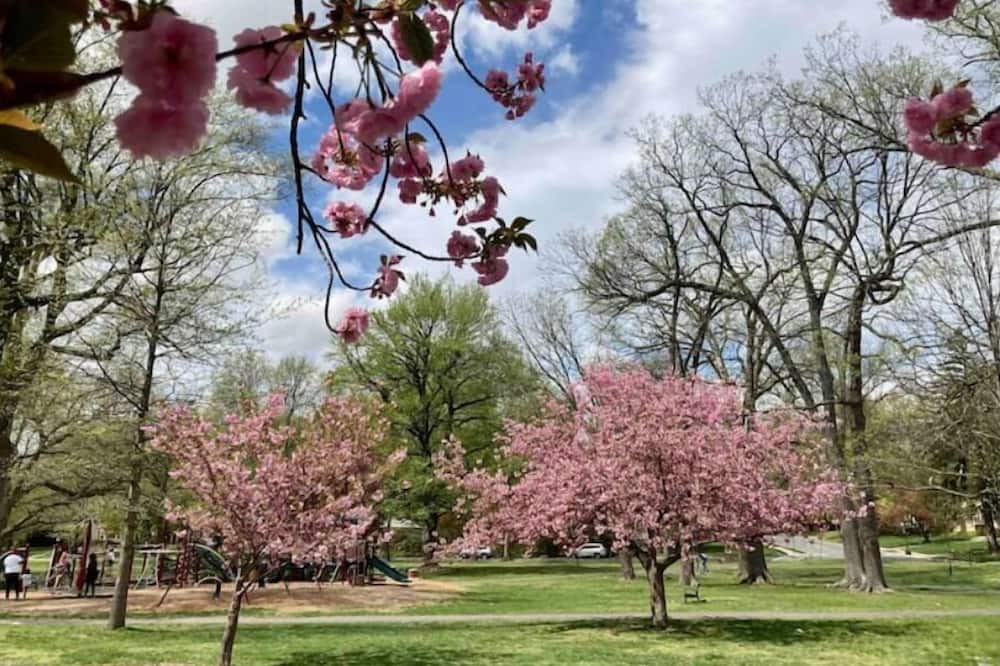 Photo of Outdoor in South Orange