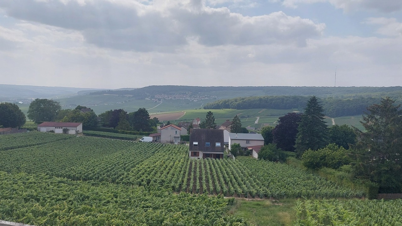 Photo of Outdoor in Champillon