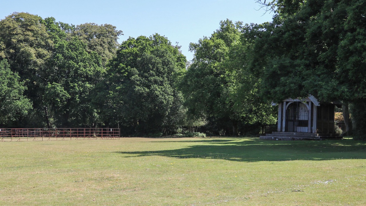 Photo of Others in New Forest District