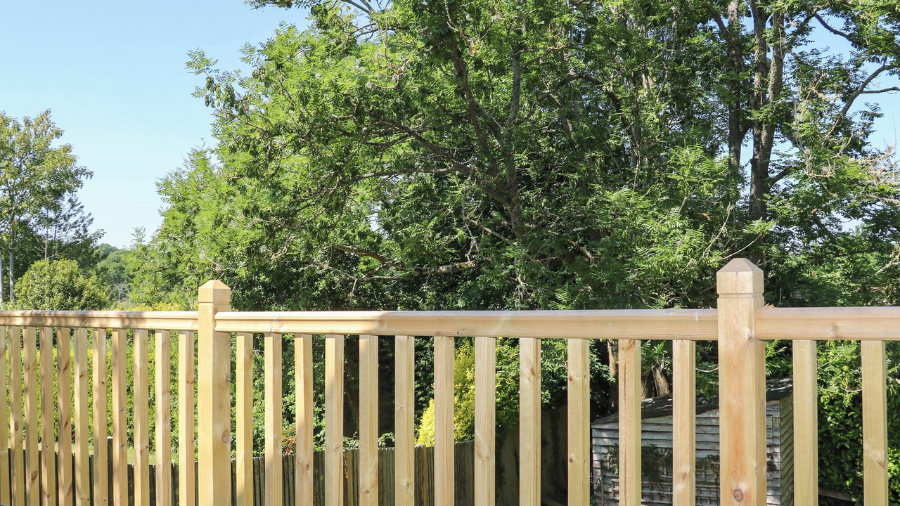 Photo of Outdoor in New Forest District