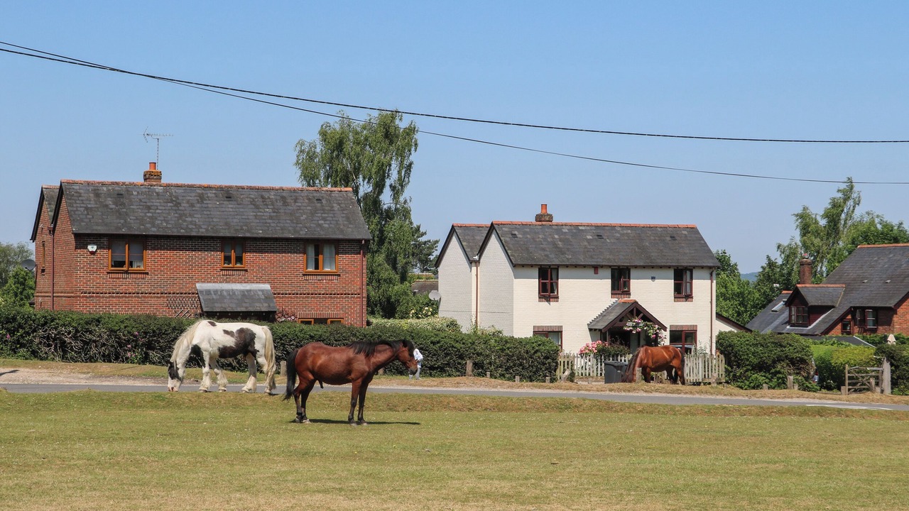 Photo of Outdoor in New Forest District