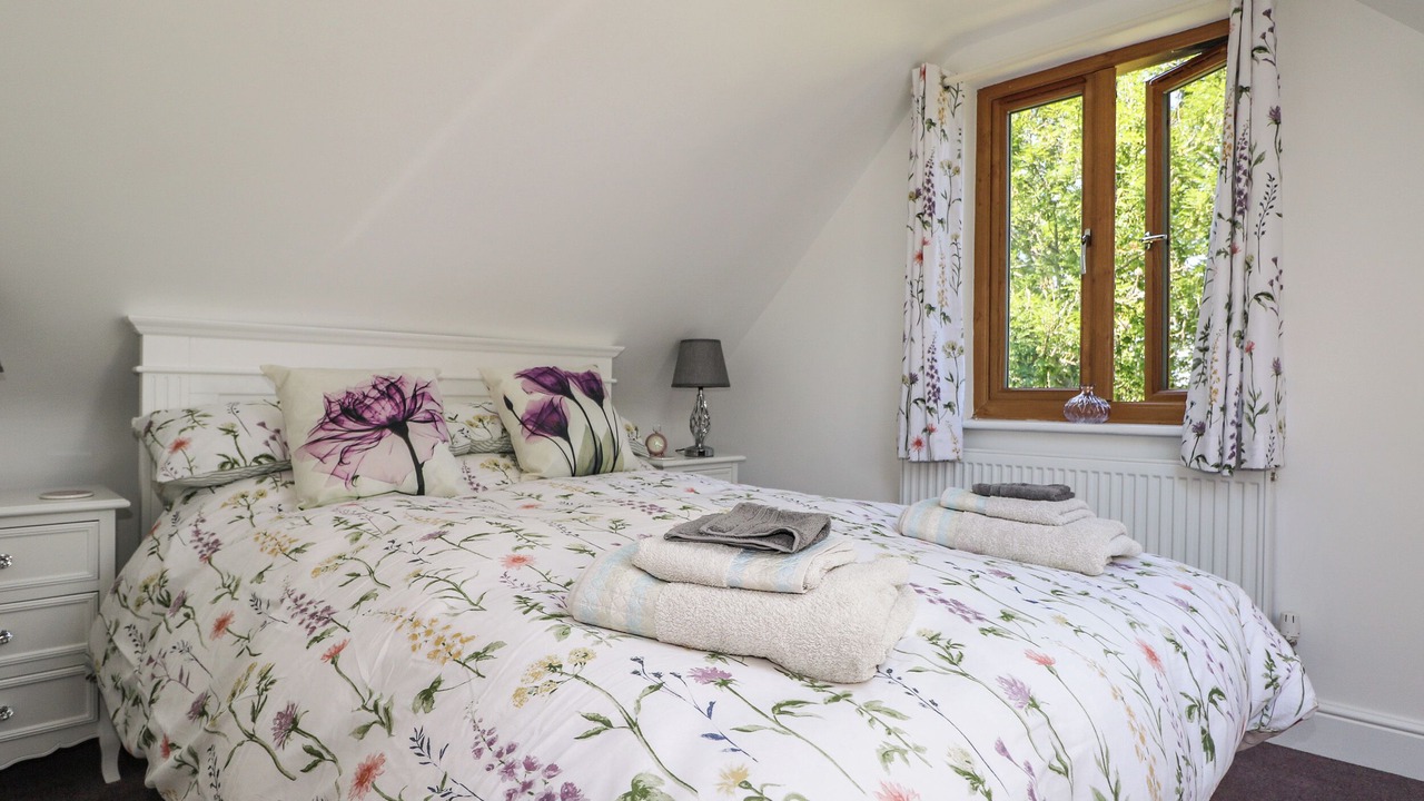 Photo of Others in New Forest District