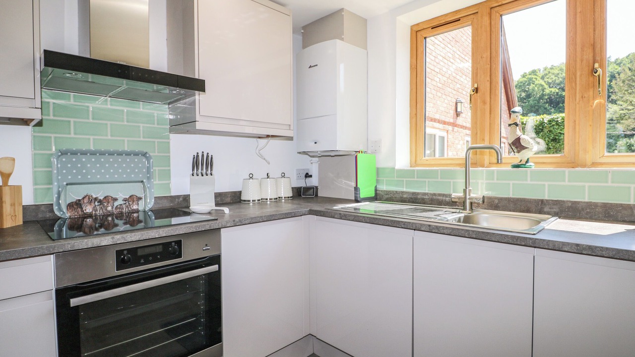 Photo of Others in New Forest District