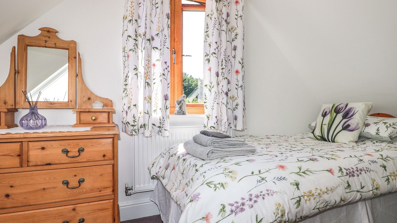 Photo of Others in New Forest District