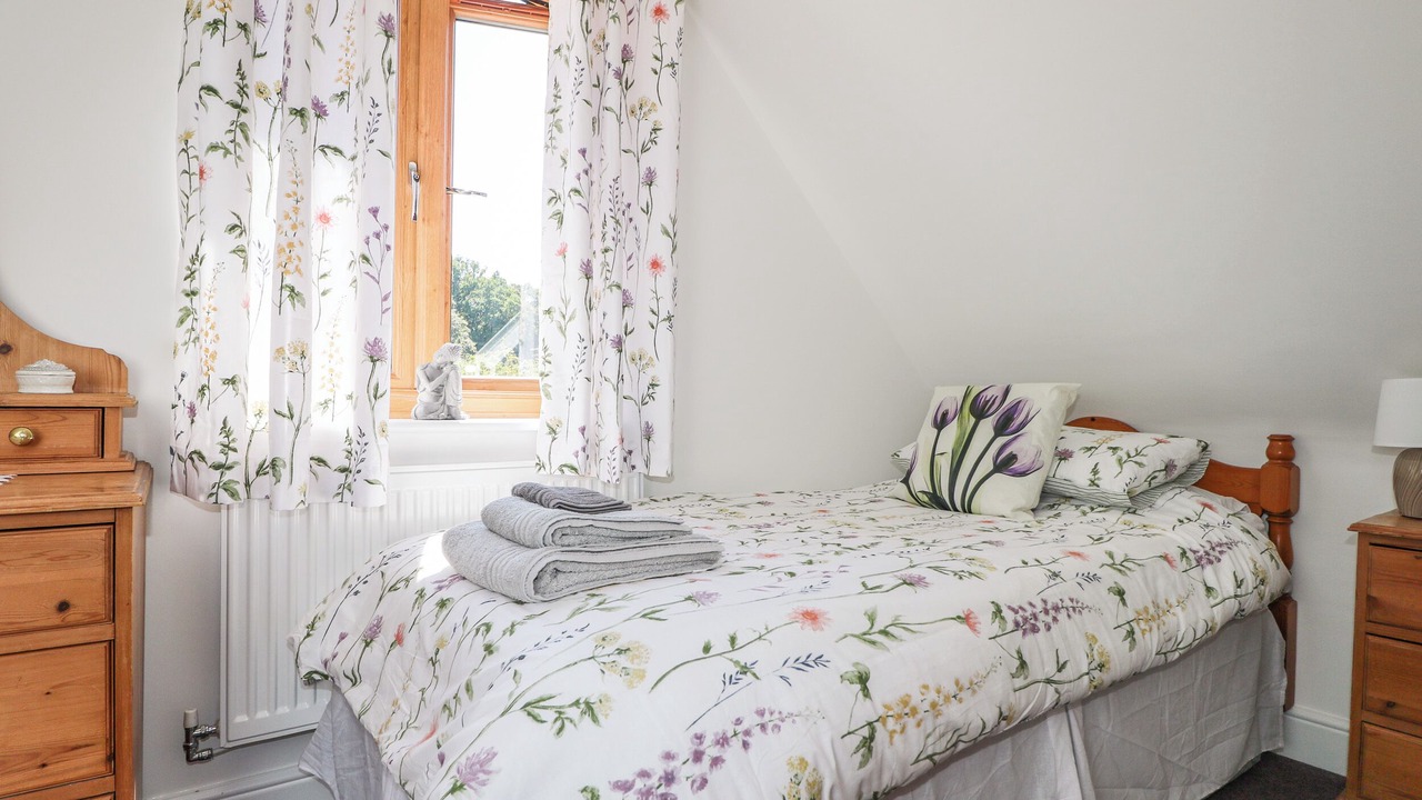 Photo of Others in New Forest District