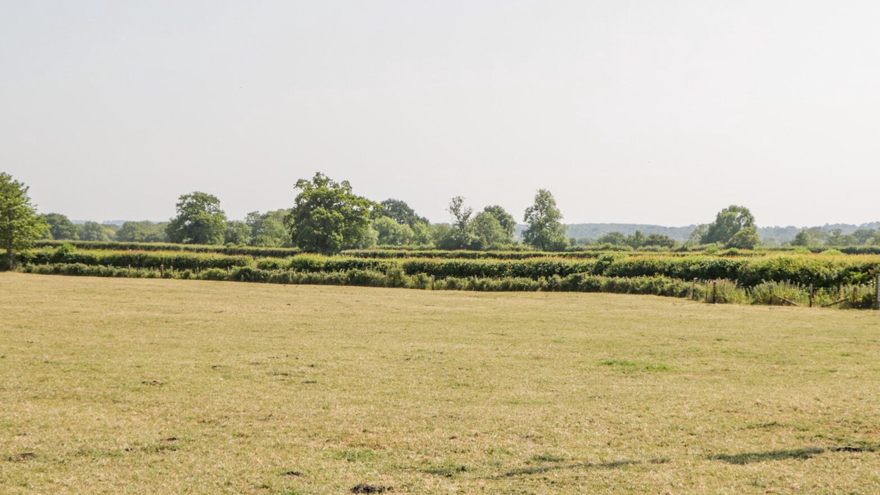 Photo of Others in Hatherleigh