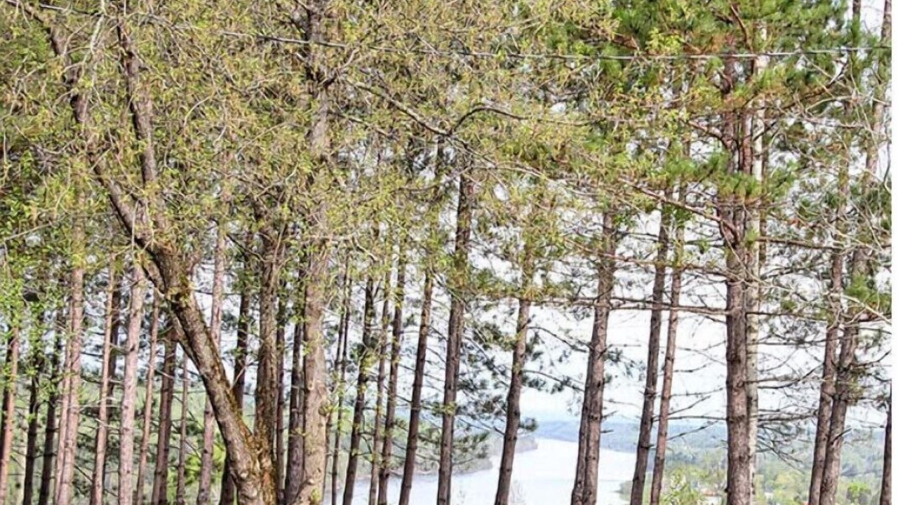 Photo of Outdoor in Waterville