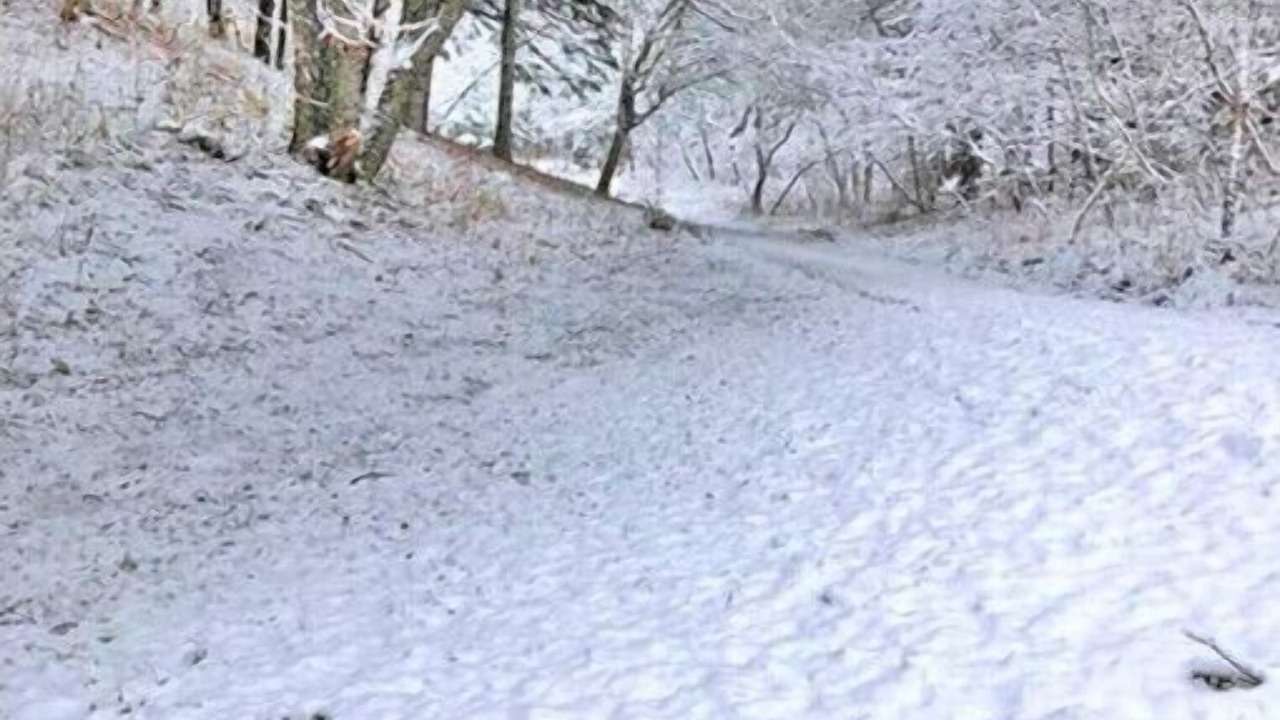 Photo of Others in Waterville