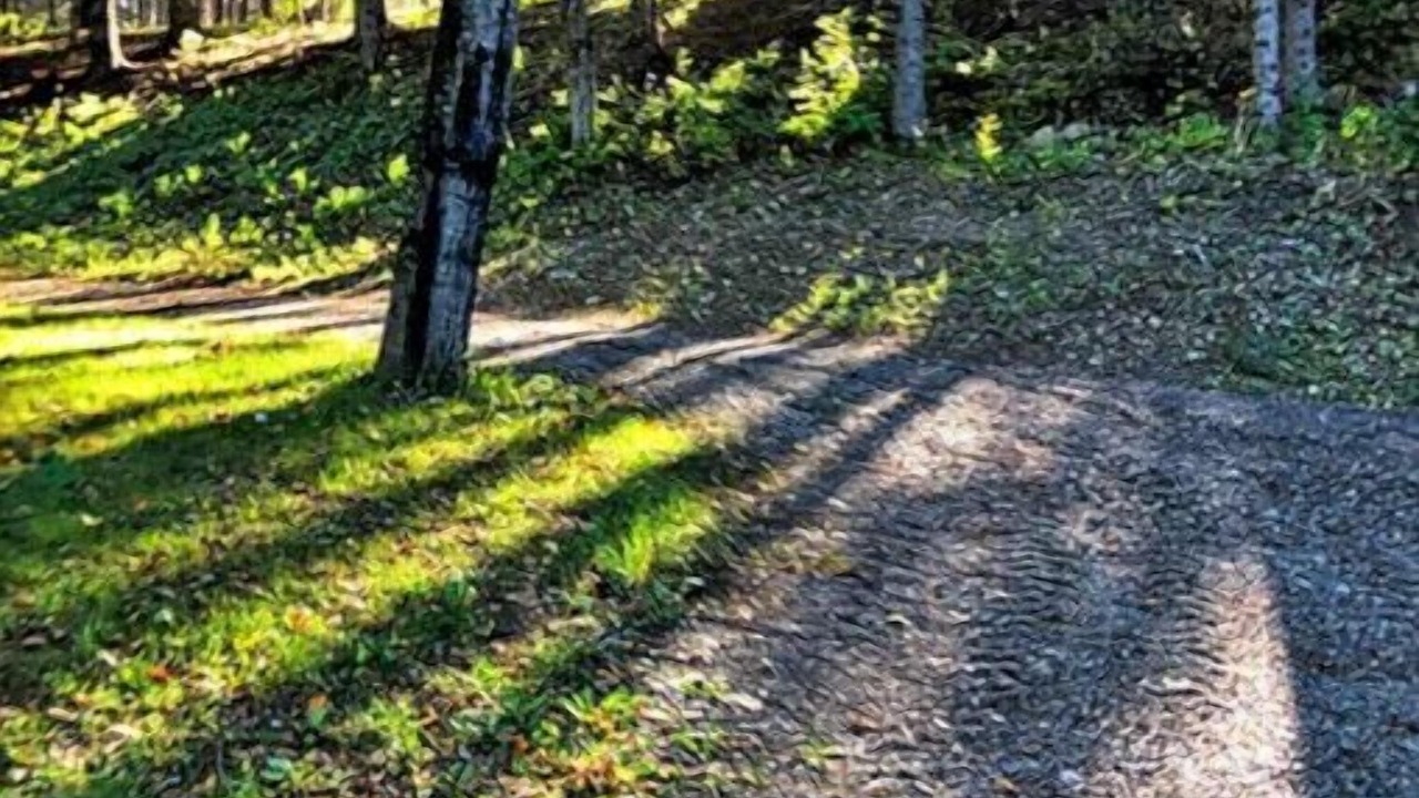 Photo of Outdoor in Waterville