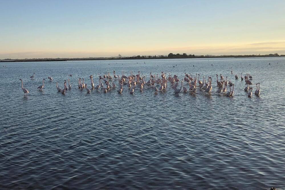 Photo of Others in Villeneuve-les-Maguelone