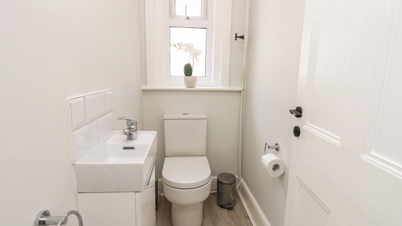 Photo of Others in Westbourne