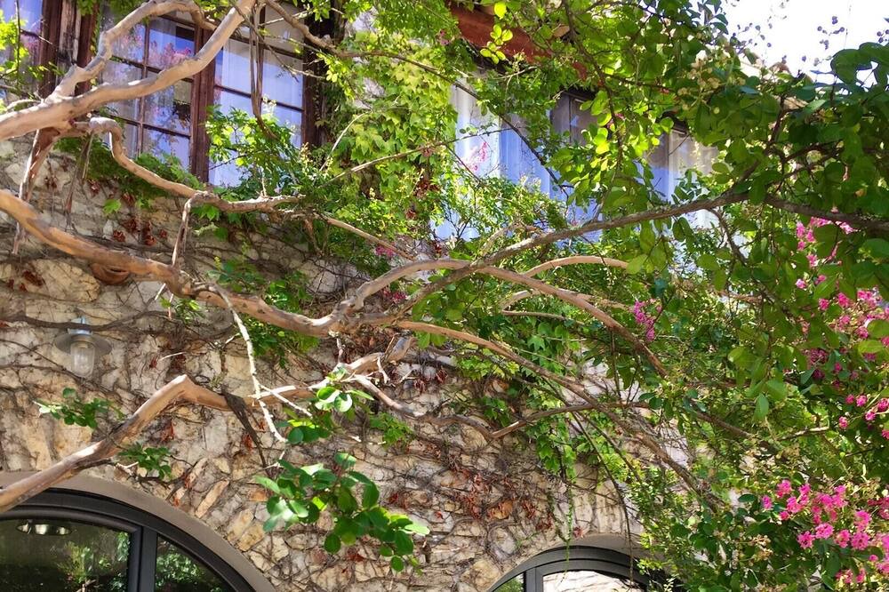 Photo of Others in Saint-Andre-de-Cruzieres