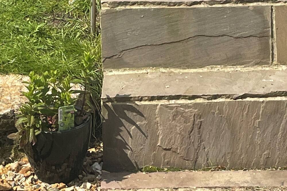 Photo of Patio Balcony in Wareham