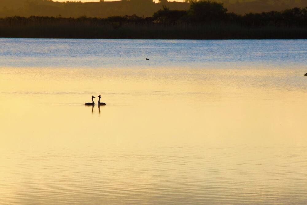 Photo of Outdoor in Wareham