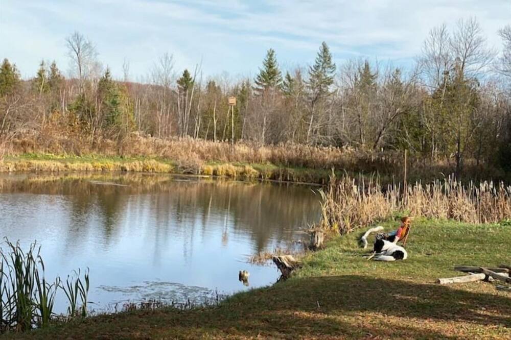 Photo of Outdoor in Greenbank