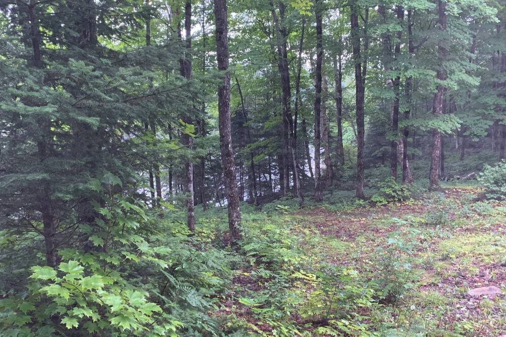 Photo of Outdoor in McDougall