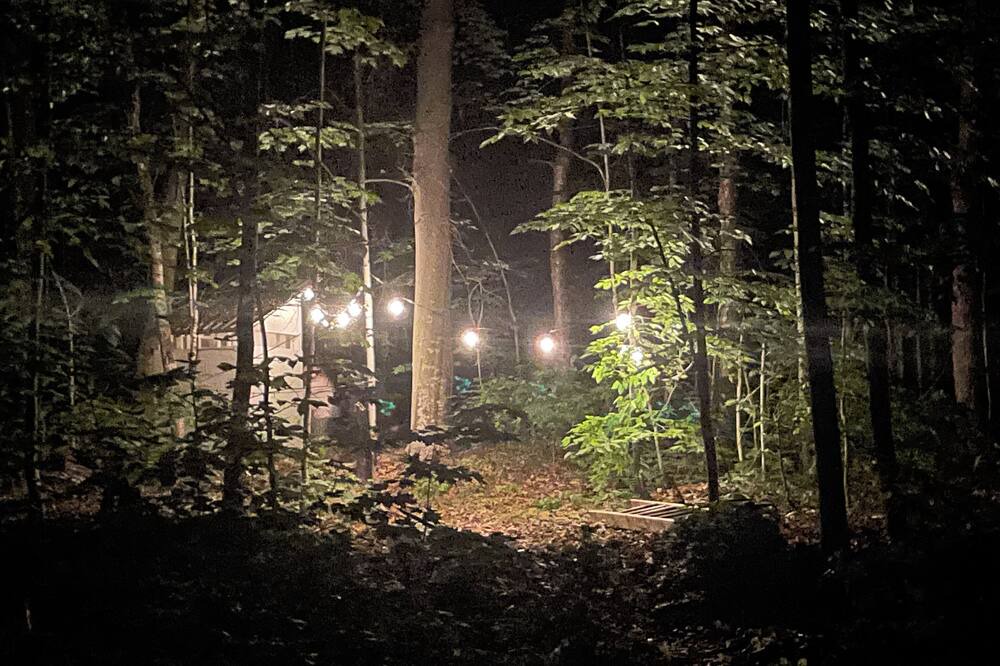 Photo of Others in McDougall