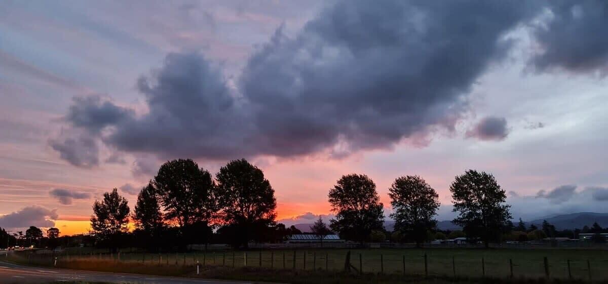 Photo of Outdoor in Clareville