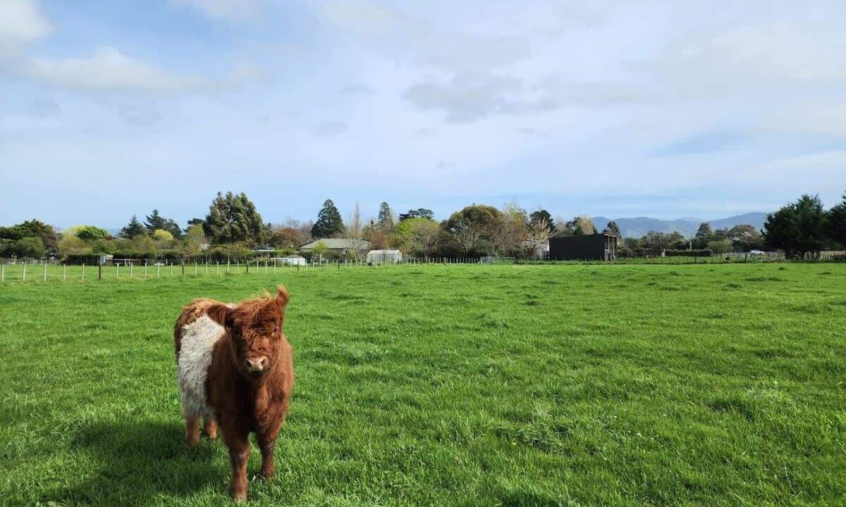 Photo of Others in Clareville