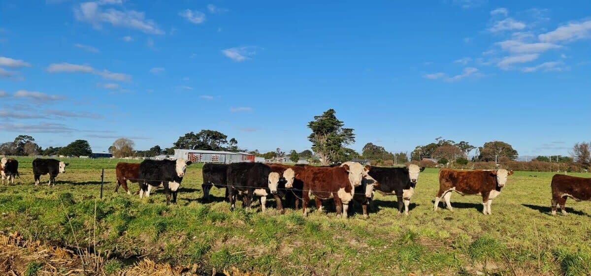 Photo of Outdoor in Clareville