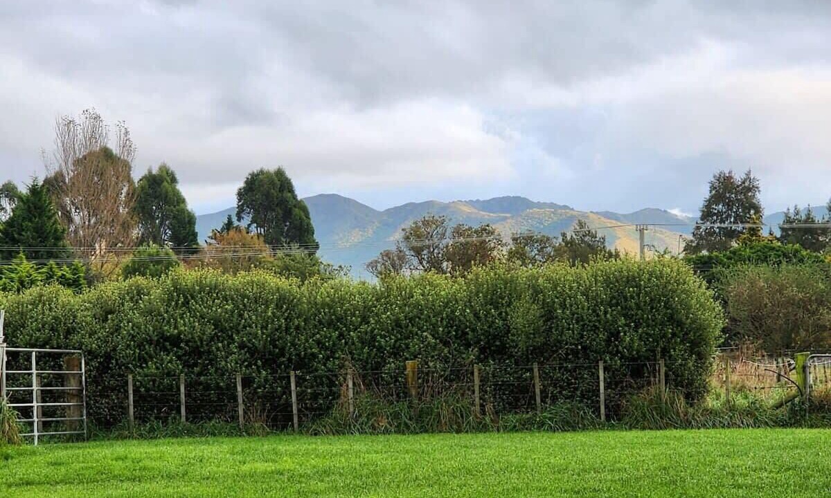 Photo of Others in Clareville