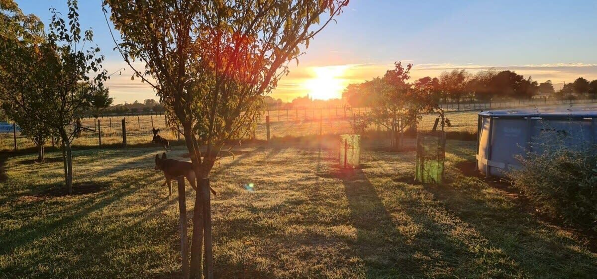 Photo of Outdoor in Clareville