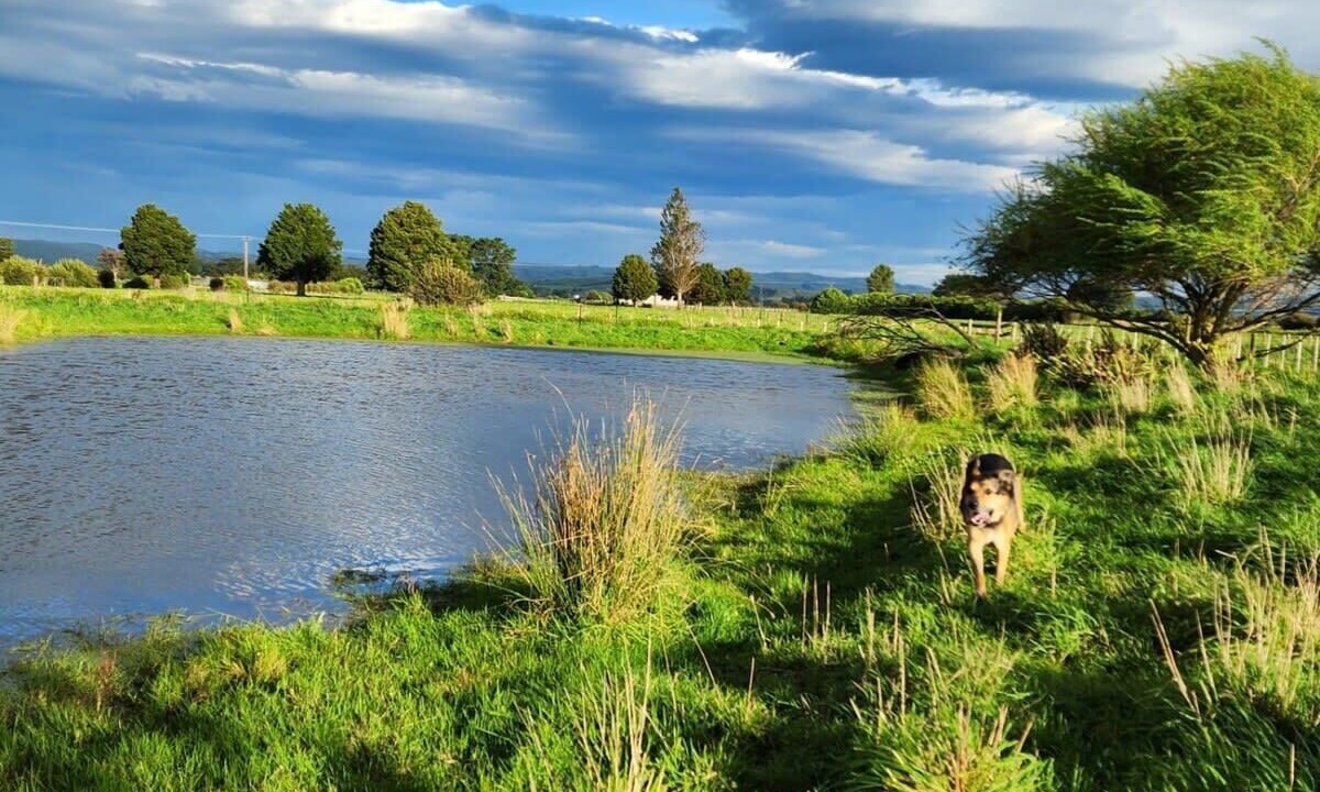 Photo of Others in Clareville