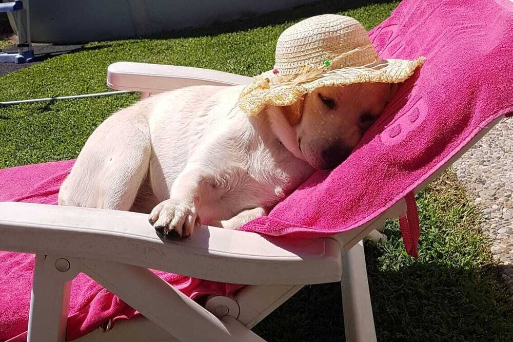 Photo of Outdoor in Cadenazzo